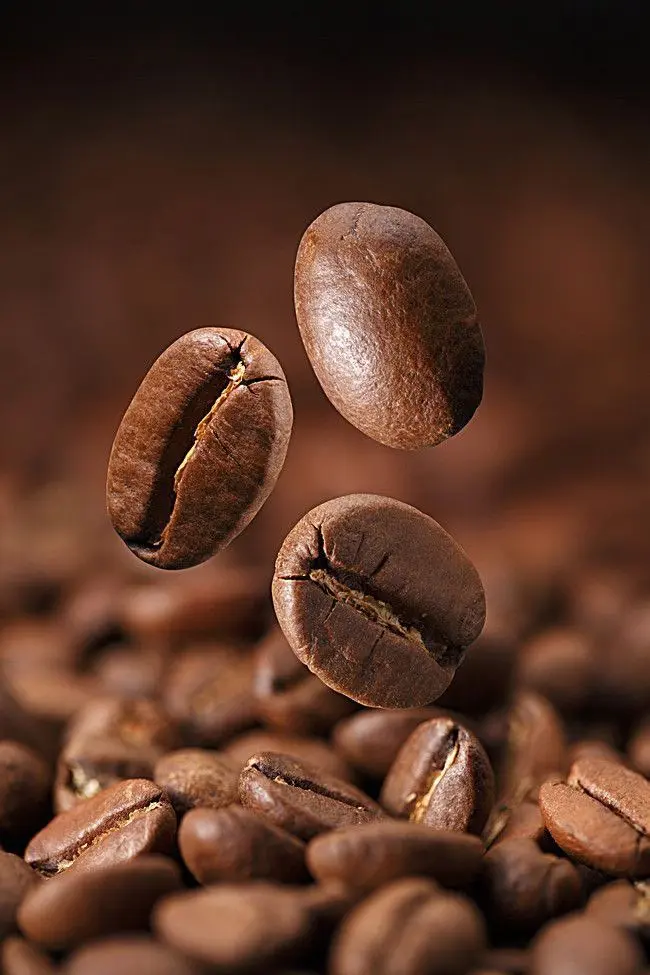 Roasted Coffee